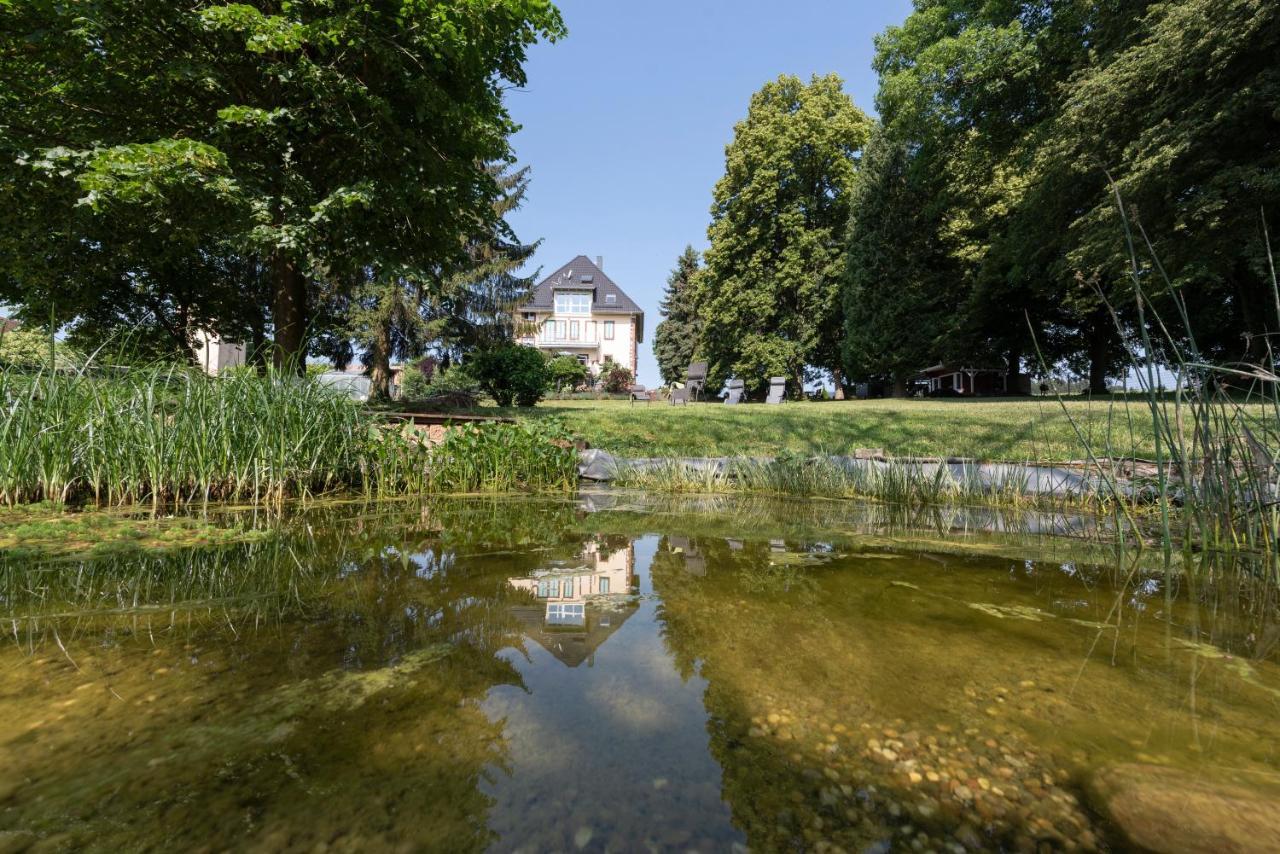 Villa Geisenhof Miltenberg Dış mekan fotoğraf