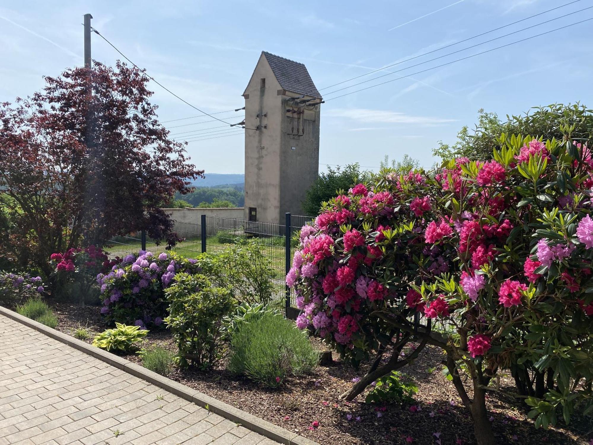 Villa Geisenhof Miltenberg Dış mekan fotoğraf